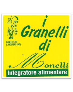 Immagine0