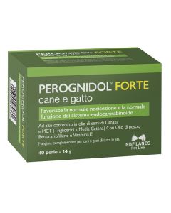 Immagine0