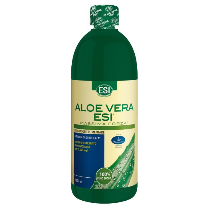 agave price Agave ovatifolia Orca main image 0