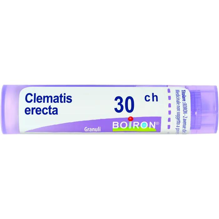 Boiron clematis erec boi*30ch 80gr 4g