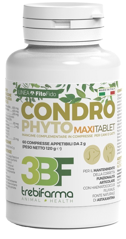 Condrophyto 60cpr 2g