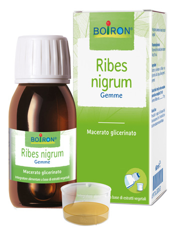Boiron Ribes Nigrum Boi Mg 60Ml Int