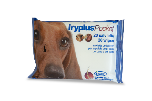 Iryplus pocket salviettine 20p