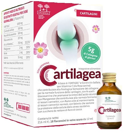 Salugea Cartilagea 18Fl