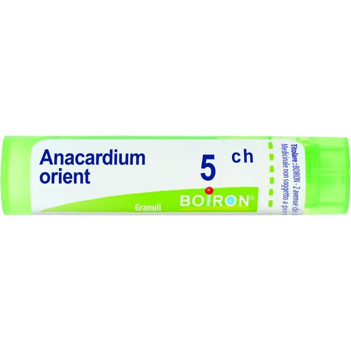 Boiron Anacardium Orient 5Ch Gr