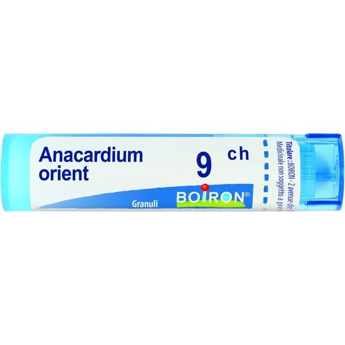 Boiron Anacardium Orient 9Ch Gr
