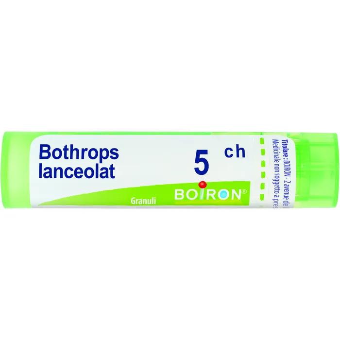 Boiron Bothrops Lanceolatus 5Ch Gr