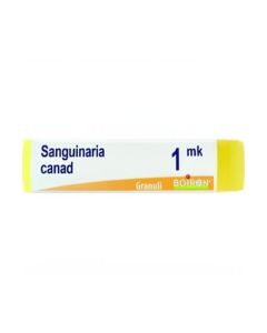Boiron Sanguinaria C 1000K Gl 1G