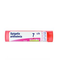 Boiron Spigelia Anth 7Ch Gr 4G