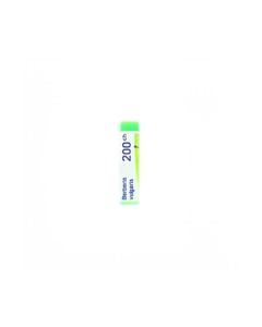 Boiron Berberis Vulg 200Ch Gl 1G