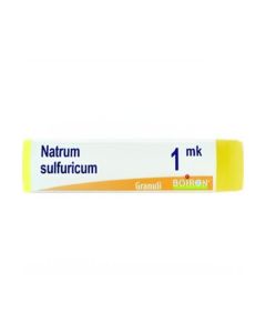 Boiron Natrum Sulfuricum 1.000K Gl