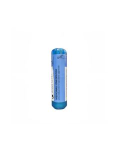 Oti Aurum Metallicum*30Ch 240Gr