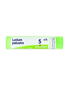 Boiron Ledum Palustre 5Ch Gr 4G
