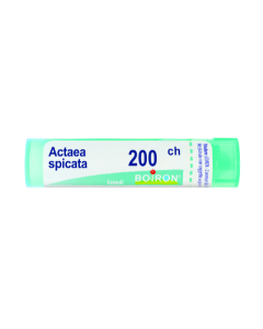 Boiron Actaea Spic 200Ch Gl 1G