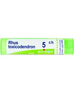 Boiron Rhus Tox 5Ch Gr 4G