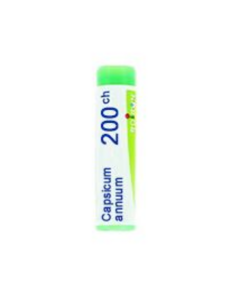 Boiron Capsicum Ann 200Ch Gl 1G