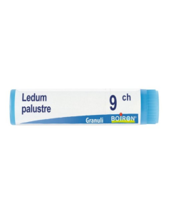 Boiron Ledum Palustre 9Ch Gl 1G