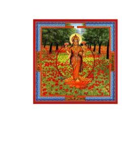 TRIPHAURUM GOCCE 30ML