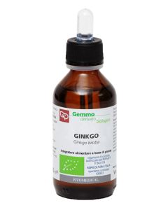 GINKGO BILOBA MG BIO 100ML