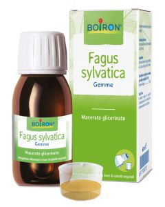 Boiron Fagus Sylvatica Mg 60Ml
