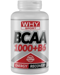 Whysport Bcaa 1000+B6 300Cpr