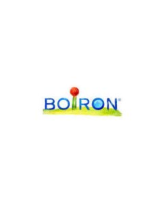 Boiron Ribes Nigrum 60Ml Tm