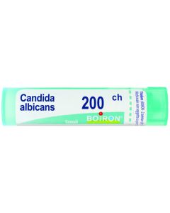 Boiron Candida Albicans 200Ch Gr 4G