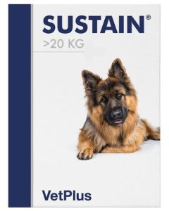 Sustain L Breed 30Bust