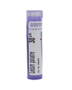 Boiron Ledum Palust 30Ch Gl 1G