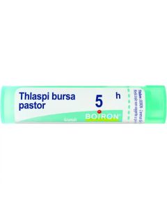 Boiron Thlaspi Bursa Past 5Ch Gr 4G