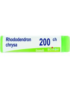Boiron Rhododendron Chrys 200Ch Gl 1G