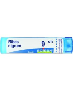 Boiron Ribes Nigrum 9Ch Gr 4G