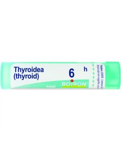 Boiron Thyroidea 6Ch Gr 4G