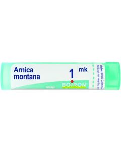 Boiron Arnica Mk Gr 4G