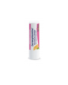 Boiron Dermoplasmine Stick Labbra Idr