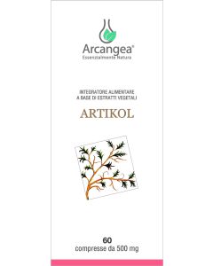 ARTIKOL 60CPR