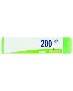 Boiron Sulfur Iodat 200Ch Gl 1G