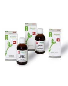 GINKGO BILOBA MG 50ML BIO