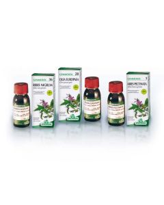 Gemmosol 36 Ribes Nero MG 100 Ml