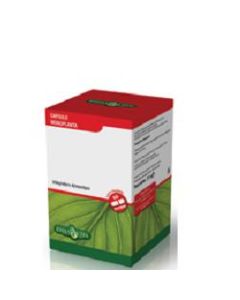 ISOFLAVONI SOIA 60CPS 450MG