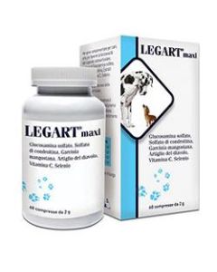 LEGART MAXI 60CPR
