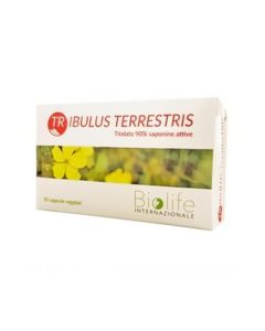 Tribulus Terrestris 60Cps
