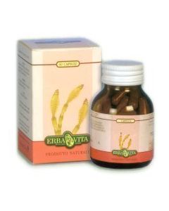 PILOSELLA 60CPS 400MG