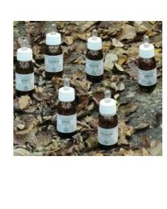 ZESAL OLIO MASS 50ML