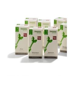 SALICE GEMME MG 100ML