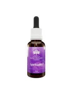 SPIRITUALITY ESS 30ML GTT