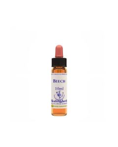 BEECH ESSENZA 10ML