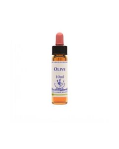 OLIVE ESSENZA 10ML