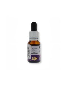 RED LESCHENAULTIA ESS15ML AUST