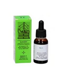 Alkaest Mgs19 Salice Mg Spg 20Ml